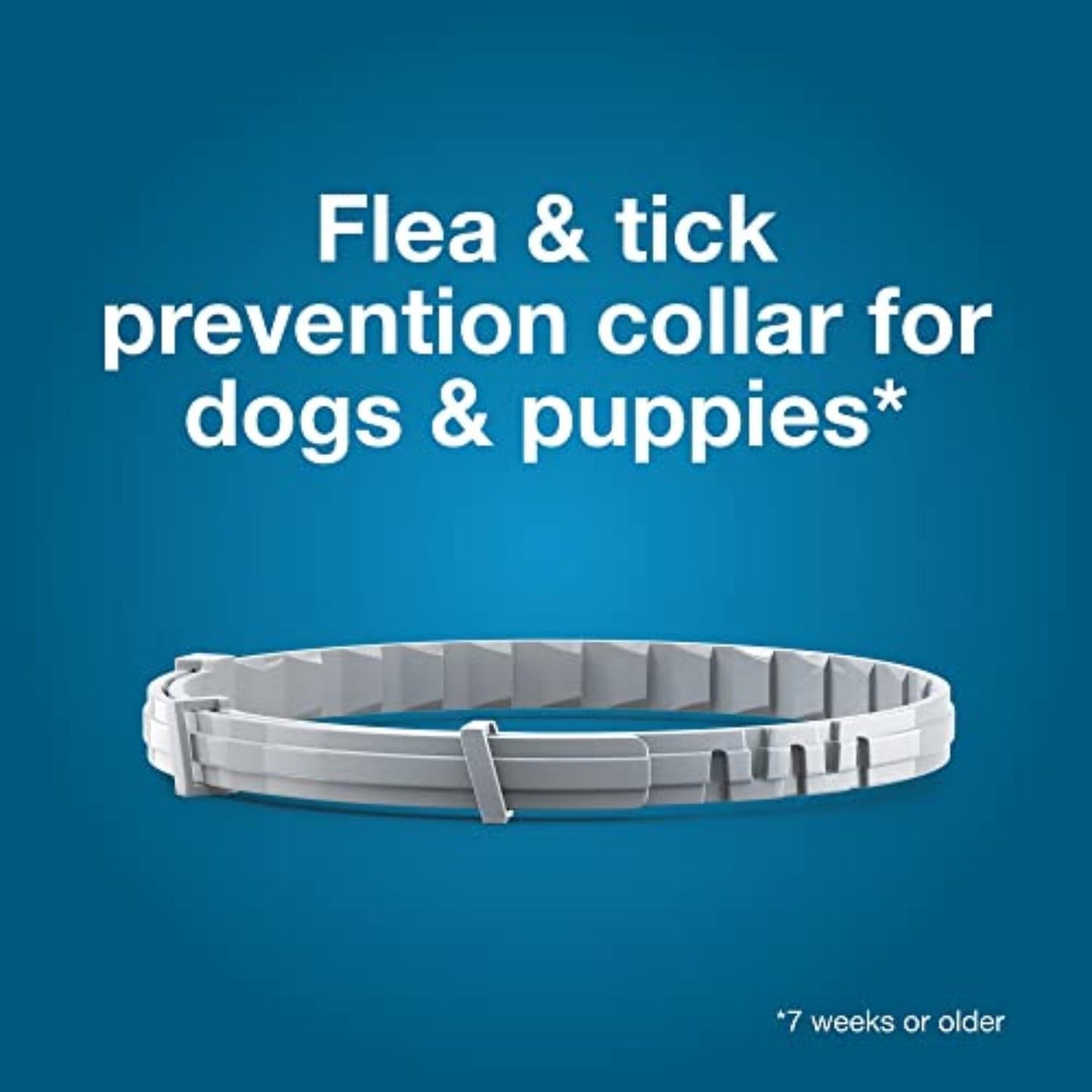 Collar for Dogs