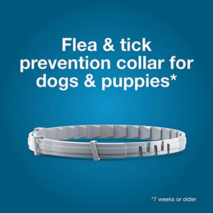 Collar for Dogs